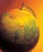 aib006020_small.jpg