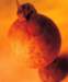 aib006027_small.jpg
