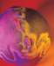 aib006038_small.jpg