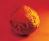 aib006039_small.jpg