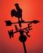 aib006071_small.jpg