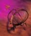 aib006075_small.jpg
