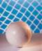 aib010002_small.jpg