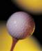 aib010009_small.jpg