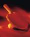aib010013_small.jpg