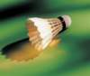 aib010035_small.jpg