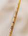 aib012018_small.jpg