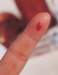aib012029_small.jpg