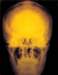 aib012031_small.jpg