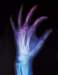 aib012034_small.jpg