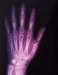 aib012035_small.jpg