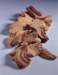 aib013011_small.jpg