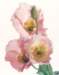 aib016006_small.jpg