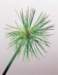 aib016009_small.jpg