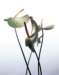 aib016015_small.jpg