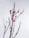 aib016019_small.jpg