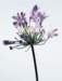 aib016024_small.jpg