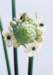 aib016052_small.jpg