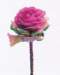 aib016057_small.jpg
