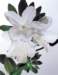 aib016058_small.jpg