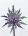aib016060_small.jpg