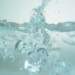 aib017029_small.jpg