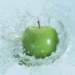 aib018001_small.jpg