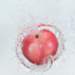 aib018004_small.jpg