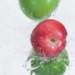aib018005_small.jpg