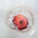 aib018008_small.jpg