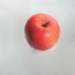 aib018010_small.jpg