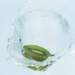 aib018011_small.jpg