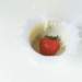 aib018018_small.jpg