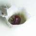 aib018020_small.jpg