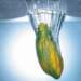 aib018025_small.jpg