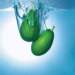 aib018026_small.jpg