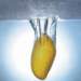 aib018027_small.jpg