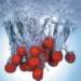 aib018035_small.jpg