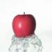 aib018046_small.jpg