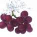 aib018047_small.jpg