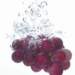 aib018048_small.jpg