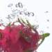 aib018050_small.jpg