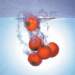 aib019027_small.jpg