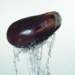 aib019035_small.jpg