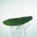 aib019037_small.jpg