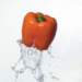 aib019040_small.jpg