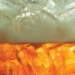 aib021016_small.jpg