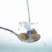 aib021034_small.jpg
