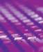 aib025045_small.jpg