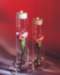 aib026007_small.jpg